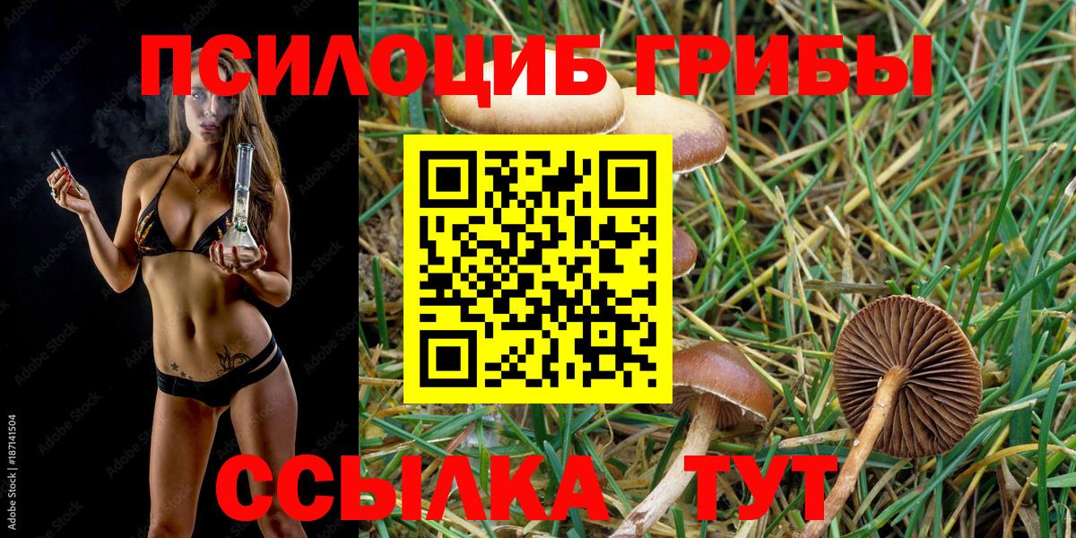 Галлюциногенные грибы Magic Shrooms Нижневартовск